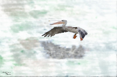 Ilustración de Smooth Landing