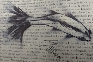 Ilustración de LEMA 050914