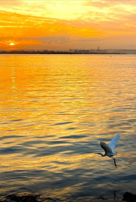 Ilustración de Mañana va a ser un gran día