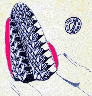 Ilustración de Atados a una creencia