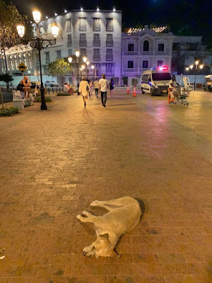 Ilustración de El valor de la apariencia sin la autoridad 